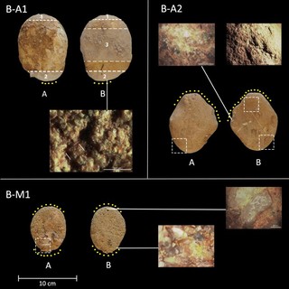 La farina arrivò prima dell'agricoltura: straordinaria scoperta nell’area archeologica dei Balzi Rossi a Ventimiglia (Foto)