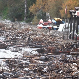 Mareggiata di ieri: spiaggia di Bussana invasa da detriti e legno, oggi attesi ancora forte vento e mare grosso (Foto)