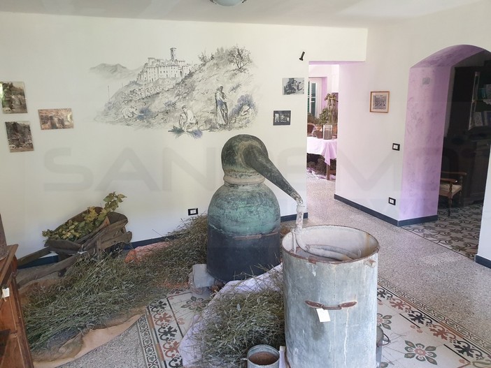 Valle Argentina: tutto pronto a Carpasio per accogliere i turisti al 'Museo della Lavanda' (Foto)