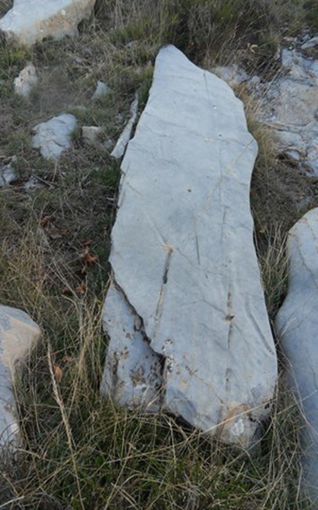 Il gruppo ArcheoNervia trova vicino alla diga di Tenarda una cava di estrazione di blocchi di roccia dove venivano realizzati menhir