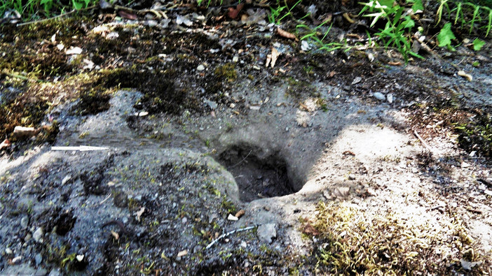 Apricale, Archeonervia: &quot;Masso altare sacrificale portato via dalla bomba d’acqua del 2020&quot;