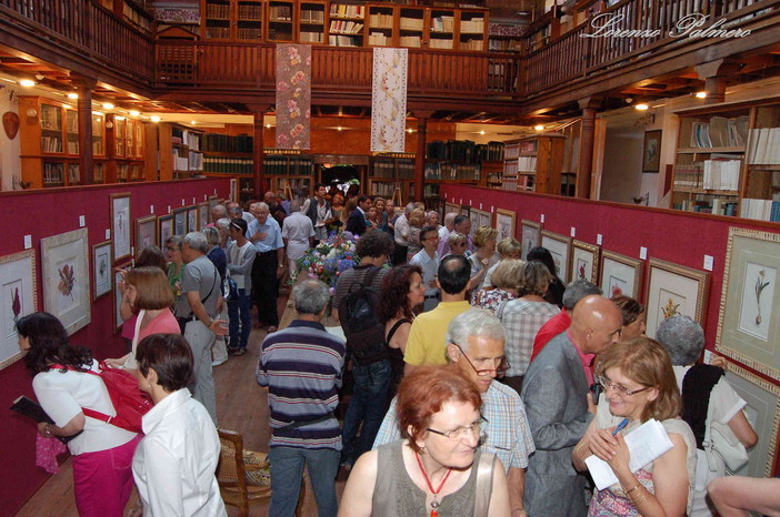 Bordighera: le foto dell'inaugurazione della mostra di di Maria Pia Luly Jones