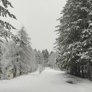 Maltempo: 20 cm di neve a Monesi e 40 nel basso Piemonte, in arrivo vento e calo delle temperature