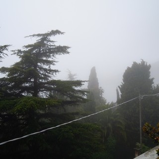 Nebbia in Val Padana? No... semplicemente Sanremo questa mattina, le foto di un lettore