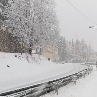 Dopo le piogge e le nevicate di oggi allerta Valanghe nel settore Alpi Liguri Sud per domani