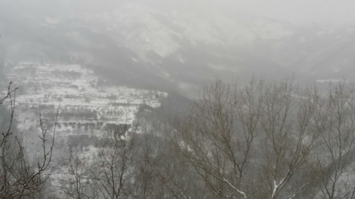 La neve ha colpito Imperia ed il suo entroterra: ecco le foto da Aurigo, Pontedassio e Caravonica (Foto e Video)