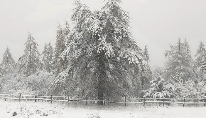 Maltempo in arrivo, scatta l'allerta gialla in tutta la provincia di Imperia: domani prevista neve anche a bassa quota