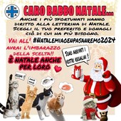 Natale al rifugio Enpa di Sanremo: anche i mici hanno scritto a Babbo Natale, ecco come aiutrarli