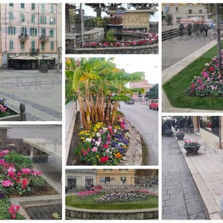 Sanremo: anche le aiuole e i giardini col vestito della festa per accogliere i turisti a Capodanno (Foto)