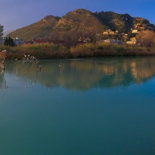 Osservazione degli uccelli, ‘Birdwatching d’autunno’ all'Oasi del Nervia tra Camporosso e Ventimiglia (Foto)