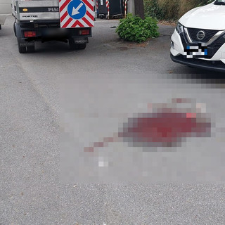 Omicidio a Savona, ragazza uccisa a colpi di pistola in piazza delle Nazioni (FOTO e VIDEO)