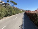 Sanremo: nuovo passo avanti per il collegamento della pista ciclabile con il Mercato dei Fiori