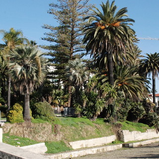 Sanremo: spettacoli in piazza Borea D'Olmo, lettrice &quot;Non era meglio il Parco Marsaglia?&quot;