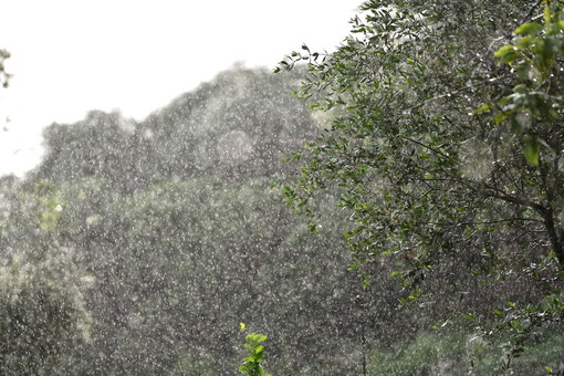 Maltempo sulla nostra provincia: pioggia soprattutto in montagna, il picco ad Apricale con 113 mm
