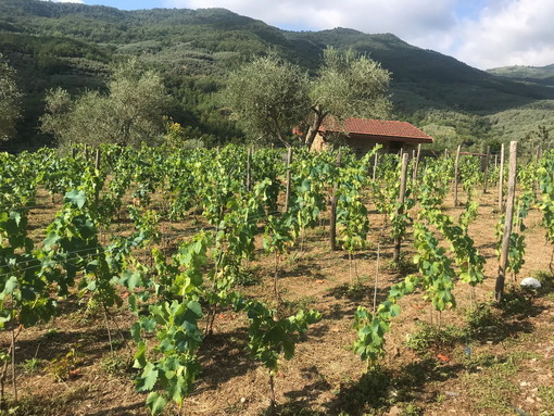 Menzione speciale per un'azienda agricola di Borgomaro alla 'Fabbrica del Paesaggio' di Foligno