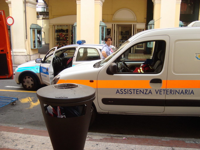 Ventimiglia: trova due cani abbandonati, una lettrice &quot;I soccorsi hanno funzionato alla perfezione&quot;