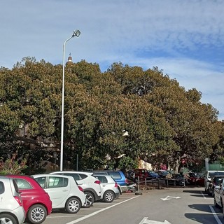 Bordighera, rifacimento della segnaletica: scatta il divieto di sosta sul piazzale del Capo (Foto)