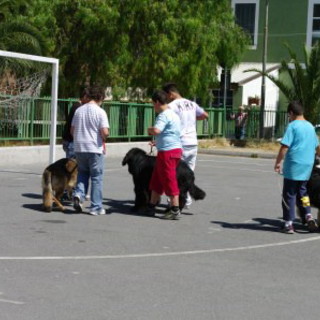 Ventimiglia: da lunedì al via il progetto 'Qua la zampa' all'Istituto Comprensivo 2 Cavour