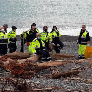 Bordighera: Protezione Civile al lavoro per tutto il giorno per liberare le spiagge da legni e immondizia (Foto)