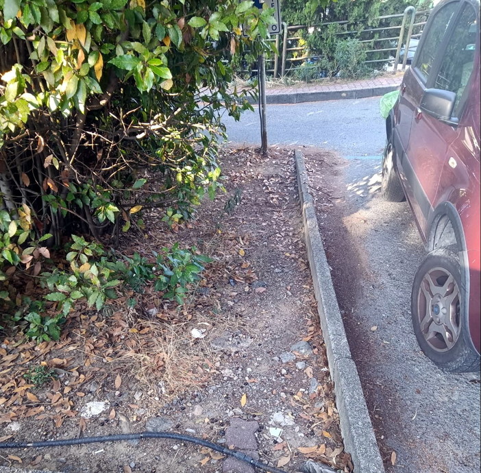 Sanremo: lamentele di utenti e nostri lettori, iniziato il lavoro di pulizia nel parcheggio dell'ospedale (Foto)