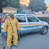 Vallecrosia, vespe velutine: Protezione civile in azione anche durante le festività