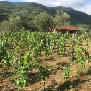 Menzione speciale per un'azienda agricola di Borgomaro alla 'Fabbrica del Paesaggio' di Foligno