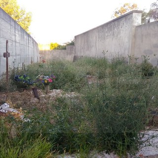 Imperia: volontari e residenti hanno ripulito ieri sera la fascia del piccolo cimitero di Piani