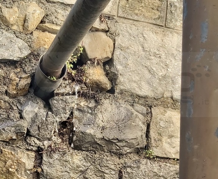 Ventimiglia: perdita d'acqua nella zona del Roya e nessuno interviene, la segnalazione di una lettrice (Video)