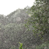 Maltempo sulla nostra provincia: pioggia soprattutto in montagna, il picco ad Apricale con 113 mm