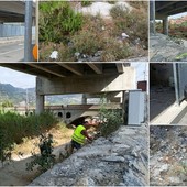 Ventimiglia, rifiuti nel Roya: iniziata la pulizia nell'argine del fiume (Foto e video)