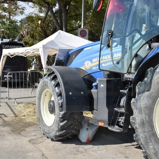 Protesta trattori, Rai: &quot;Stiamo ricevendo mail di singoli agricoltori, chi facciamo salire?&quot;