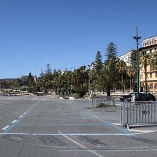 Sanremo: sabato prossimo Amnesty Internatonal pianterà in piazzale Dapporto l'albero dei diritti