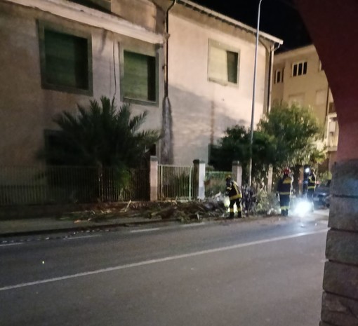 Bordighera: palma cade sotto la forza del vento sui fili del bus, intervento dei Vigili del Fuoco (Foto)