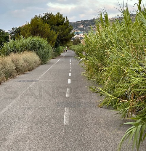 Sanremo: degrado sulla ciclabile e al 'bike park', la segnalazione e le foto di un nostro lettore