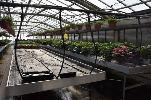 Nel mese di febbraio alla scuola agraria di strada Maccagnan gli appuntamenti di 'Orientamento scolastico'