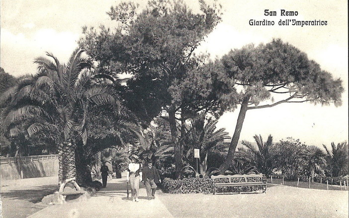 Sanremo: a rischio i pini marittimi, quale futuro per il paesaggio storico? Mercoledì una conferenza