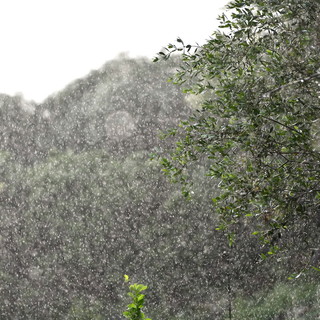 Maltempo sulla nostra provincia: pioggia soprattutto in montagna, il picco ad Apricale con 113 mm