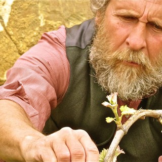 Premio Vermentino a Diano Castello: due spettacoli a tema, venerdì e sabato