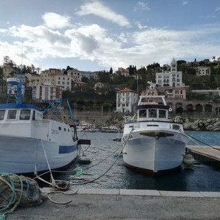 Bordighera: oggi pomeriggio un dibattito sul futuro del porto su turismo, porto, pesca, sicurezza e Pelagos