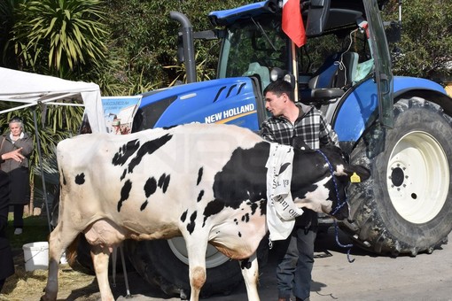 Sanremo: i trattori arriveranno venerdì e resteranno anche sabato, tra Valle Armea e il centro