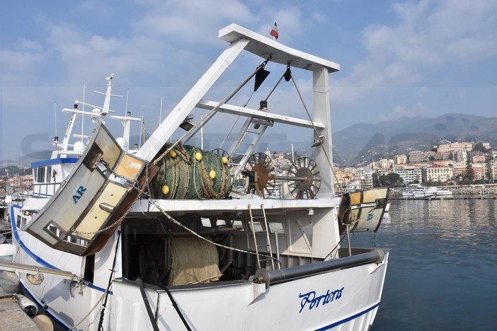 Rinnovato il Ccnl pesca. Coldiretti: “Importante segnale di responsabilità per il settore ittico”