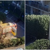 Ventimiglia, quadro elettrico in tilt: intervengono i vigili del fuoco (Foto)