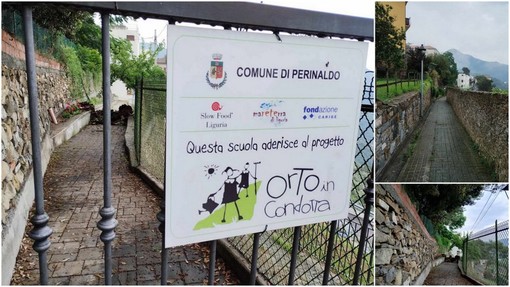 Perinaldo, la pioggia fa crollare un ramo nel viale dell'asilo: pronto intervento del Comune (Foto)