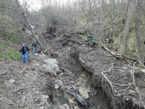 Pubblicato dal Parco delle Alpi Liguri l’avviso di selezione per il conferimento di 17 incarichi professionali in provincia di Imperia