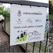 Perinaldo, la pioggia fa crollare un ramo nel viale dell'asilo: pronto intervento del Comune (Foto)