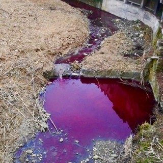 Le acque del Rio Latte colorate di rosso