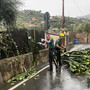 Sanremo: danni per il maltempo di stamattina, i Rangers rimuovono un grosso cactus (Foto)