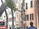 Sanremo: rami pericolanti oggi pomeriggio in via Margotti, intervento di Vigili del Fuoco e Municipale (Foto)