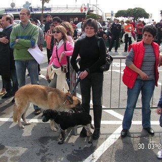 Ventimiglia: domenica prossima alla Marina di San Giuseppe il 'Raduno degli animali di ogni razza e specie'