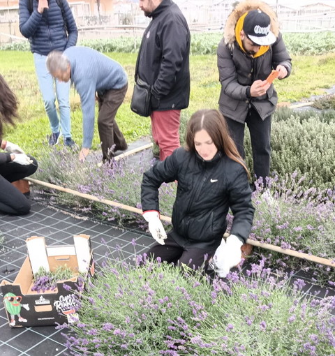 10 anni del progetto 'Lavanda riviera dei Fiori: una giornata di formazione per gli studenti del 'Ruffini-Aicardi'